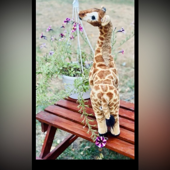 Vintage Toys R Us Life Like Giraffe Plush Stands Up On His Own from 2011 - Picture 15 of 16